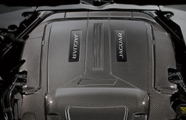 Carbon Fibre Engine Cover image